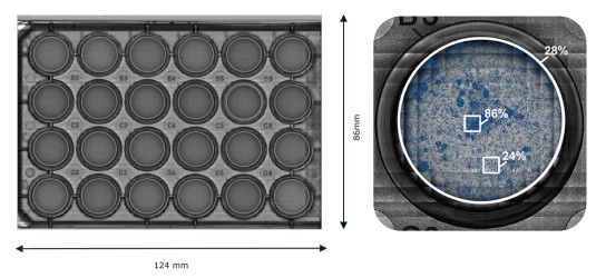 Live-cell Imaging Applications | Axion Biosystems